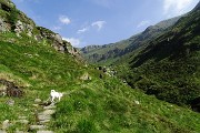 19 Salendo in Valbona 
